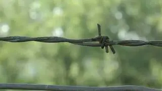 Black Magic Micro Cinema Camera (BMMCC) TEST