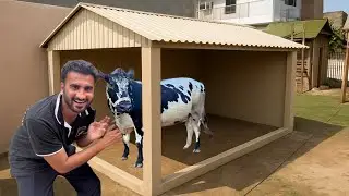 Cow House Bn Gaya?  🥰 || Shehr Main Dihat 