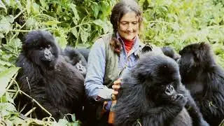 Remembering Dian Fossey | Dian Fossey Gorilla Fund