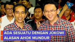 Ahok Ungkap Alasan Keluar dari Pertamina, Terkait Jokowi