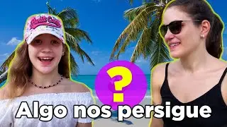 REACCIÓN DE DANIELA LLORANDO EN EL CARIBE | ALGO NOS PERSIGUE ¿QUÉ QUIERE? | Yippee Family
