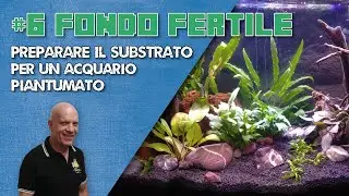 Come preparare un substrato fertile semplice per un acquario piantumato.