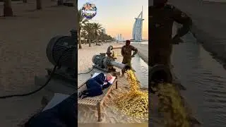 motor pump gold mining funny meme 🤣🤣#satire #shortsfeed #trending