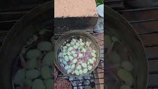 Cooking Broad Beans from my Garden on the BBQ #organic