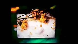 Hatchie - Wonder (demo)