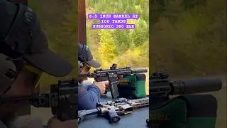 6.5 inch barrel CCMG at 100 Yards #shorts #300blk #300blackout #cmmg #dissent #subsonic