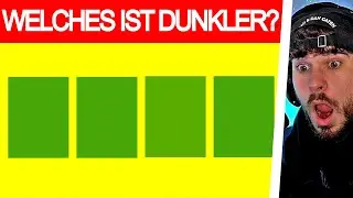 Nur 6% können dieses RÄTSEL LÖSEN! (WELCHE FARBE IST DUNKLER?)
