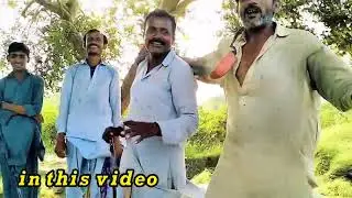 Beautiful Sindhi Village Life | Simple Living and Natural Beauty 