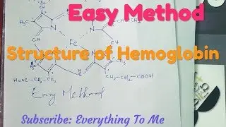How to draw structure of Hemoglobin easy method | Everything To me |