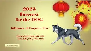 DOG 2023 Animal Sign Prediction | Year of the Water Rabbit