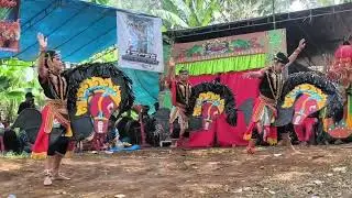 Tari wayang papat_Seni #jaranan Singorojo Budoyo Live Leces Gumuk Banyuwangi.