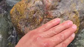 Beautiful colors in this Northern California jasper. Reds and yellows