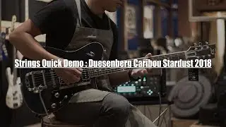 Strings Quick Demo : Duesenberg Caribou Stardust