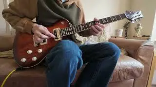 PRS SE 245 / A Giant Killer? / Certainly Gives My Gibson A Run For The Money!