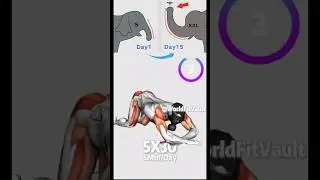 Quick and Effective  Exercise For Men !! Improve Strength + Stamina!