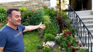 WTF Were They Thinking? - PLANTING SLOPES