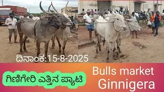 ಗಿಣಿಗೇರಿ ಎತ್ತಿನ ಪ್ಯಾಟಿ  Bulls market Ginnigera  Oxen market Ginnigera 15-8-205