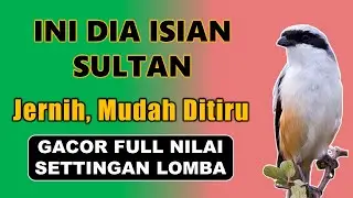 Ini Baru Raja Kasaran, Selalu Dapat Tropi ❗ Masteran Cendet Gacor Full Isian Tembakan