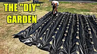 DIY WEEDLESS GARDEN WITH LANDSCAPE FABRIC