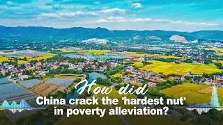 How did China crack the 'hardest nut' in poverty alleviation?