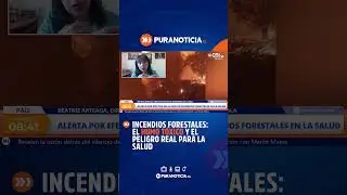 Incendios forestales: el humo t&oacute;xico y el peligro real para la salud