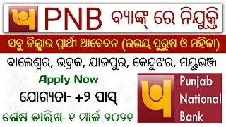 Odisha Punjab National Bank Recruitment 2021 | 12th Pass Odisha Bank Job | Odisha job updates 2021