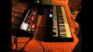 Moog Slim Phatty + Korg Microstation