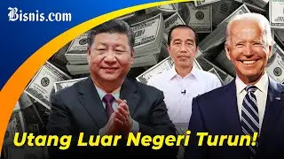 Daftar Lima Negara Pemberi Utang Terbesar ke Indonesia, Mana Saja?