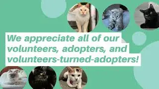Adoptions by our Foster Families