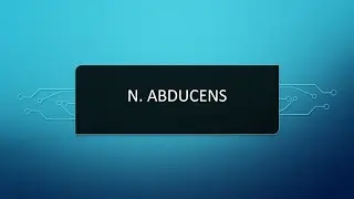 N  Abducens - VI. Kraniyal Sinir