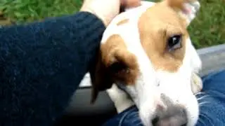 MOV03351
