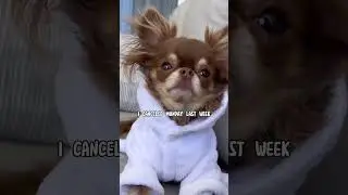Я называю это 🤌SCHEDULEH🤌 malfunctiunz 🫣😰