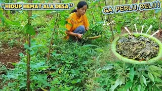 Apapun Bisa Dimakan! Rahasia Hidup Bahagia dan Kenyang ala Orang Kampung