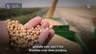 Three Challenges for Grain Farmers in 2025 | Presented by CME Group