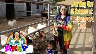Learn the 5 Senses w/ Abby at the Barnyard Zoo!!!