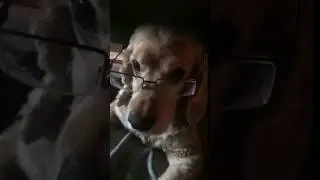 Jack Potter