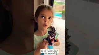 I Got a Pet Dragon! 🐉 3D Printed Crystal #Dragon Color Changing Fully Articulated #forkids