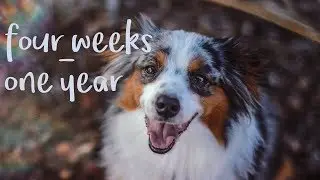 my best friend turned one