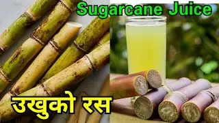 sugarcane juice | ukhu ko fresh ganne ka juce