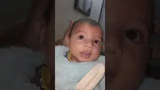 Aaj Javed Bhai Ke Haath Me Danda Kyu? #shahrukhkohrivlogs #shahrukhkohri #vlogs #shorts #shortsvideo