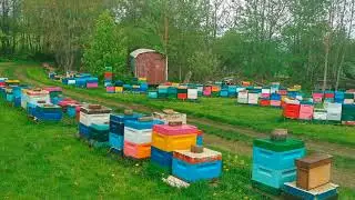 О матках - 19. Mai 2021