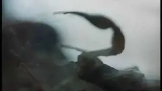 Кино - Кончится лето