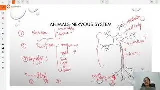 CLASS X CONTROL AND COORDINATION  PART 1 INTRODUCTION, ANIMALS  NERVOUS SYSTEM, REFLEX ACTION
