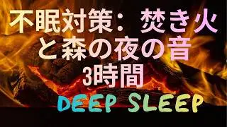 焚き火と森の静けさ3時間｜快眠用BGM