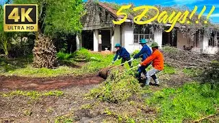 5 Days Extreme Cleanup 💪Restoring an Abandoned House Hidden for 7 Years in the Countryside!