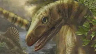 Dino Hunting!!! Yield Surprising Results...