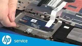 Replace the Touchpad Board | HP Pavilion x360 m3 Convertible Notebook | HP Support