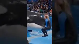 Джессика Рэдклифф Орка @ttack Видео #Джессика #Дельфин #Шорты