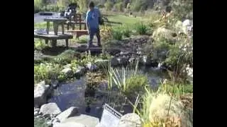 How To Net Your Pond