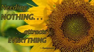 Needing NOTHING having EveryThing   Soul of the EveryMan